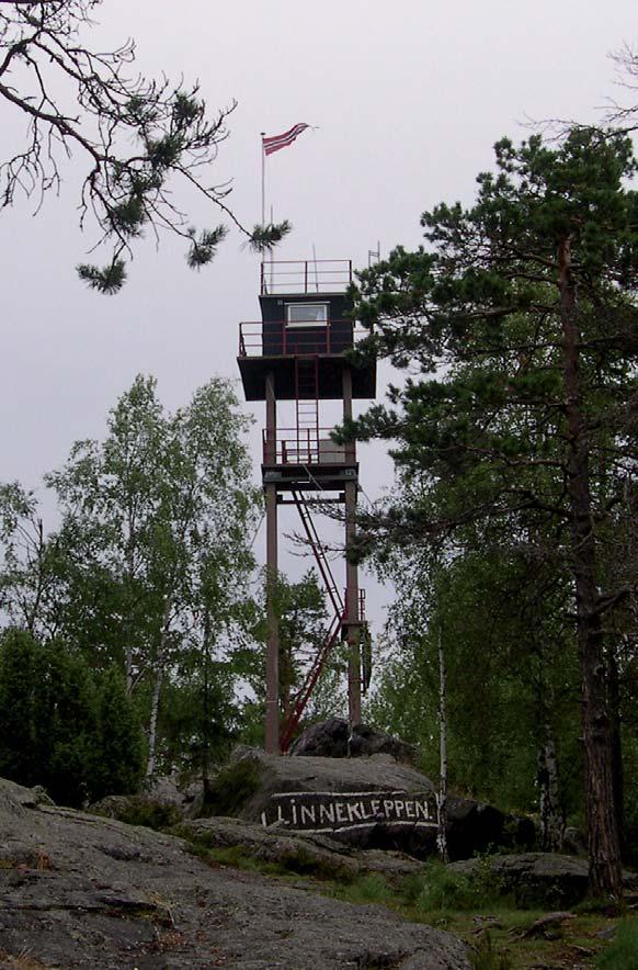 Tormod Klemsdal NATUR I ØSTFOLD 25(1-2) 2006 Fig. 18. Tårnet på Linnekleppen. med Linnekleppen. Sundet og de gode opp vekstbetingelsene for skjellene opphørte.