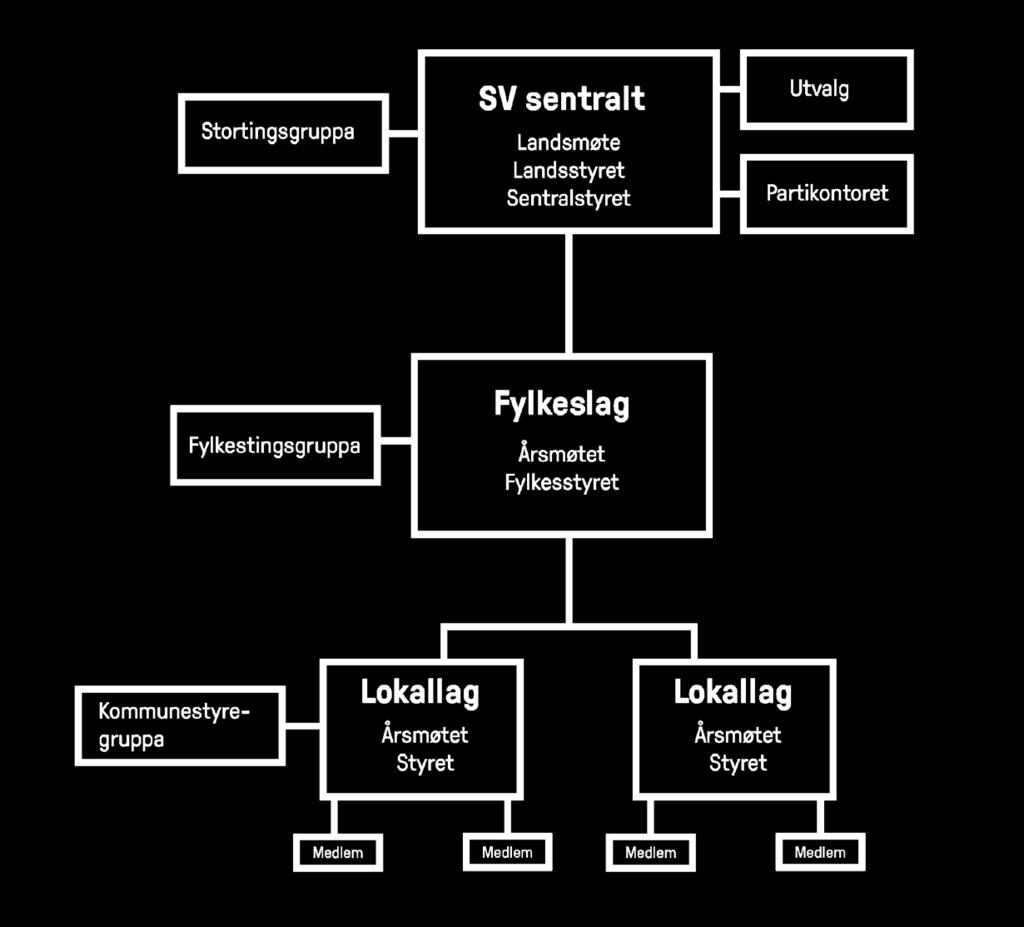 SV-ORGANISASJONEN Alle lokallagene i et fylke er del av et fylkeslag, og stiller med delegater på fylkeslagets årsmøte. Der velges fylkesstyret og man bestemmer hva man skal jobbe med det neste året.