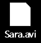 SARA 30.01.