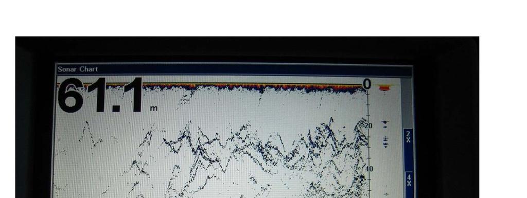 Effekten av god forvaltning - og kanskje en ekstra grad eller to varmere Barentshavsvann - kan illustreres med dette bildet.
