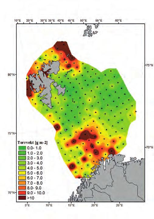 Plankton Dyreplankton i Barentshavet I 13 ble det målt en klar nedgang i mengde dyreplankton i Barentshavet i den delen som overvåkes av Norge; særlig i atlantiske vannmasser og polarfrontvann.