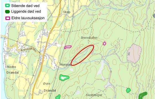 Det er imidlertid ikke registrert områder med spesielle naturverdier i eksisterende databaser og/eller karttjenester. 3.