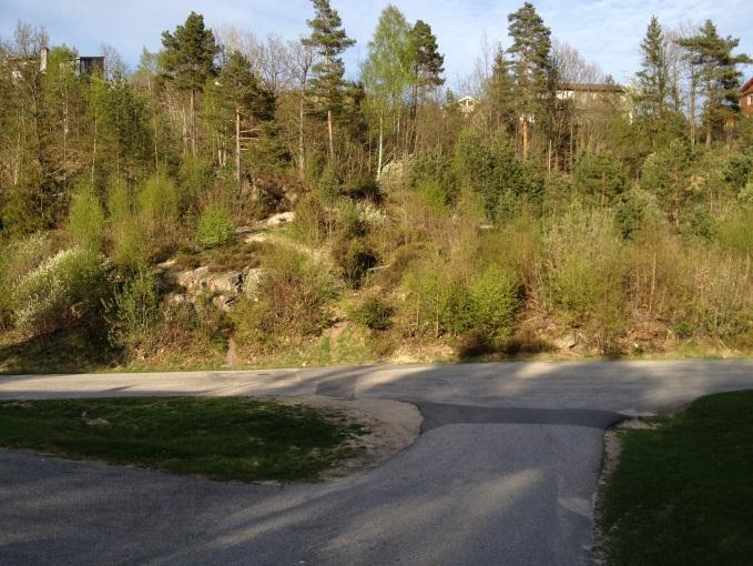 nedsiden og Lille Tømmerås i bratt bakke på oppsiden, og