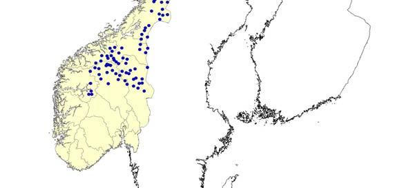 Statens Naturoppsyn (SNO) har det regionale ansvaret for arbeidet som utføres av registreringspersonell lokalt (Fjelltjenesten, fjellstyrer, bygdeallmenninger og lokale rovviltkontakter) og SNO sitt