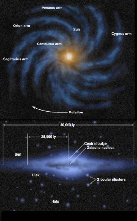 Melkeveiens deler: GalacMc nucleus galaksens kjerne. Central bulge sentral- utbulningen. Disk galakseskiven Globular clusters kule- hoper, finnes i haloen.
