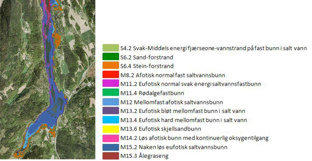 I 211 fortsatte registreringen av Bunnefjorden ut til Ursvik i vest og Hvervenbukta i øst (Figur 29). Bunnforholdene i 35 transekter fra strandlinjen og ned til ca.