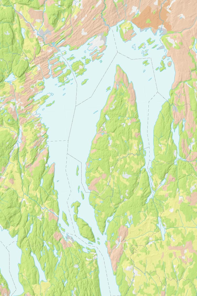 Planktoniske alger i Indre Oslofjord algemengder i 211 var omtrent som gjennomsnittet for tidligere år Oppblomstringer av planktonalger er et naturlig fenomen.