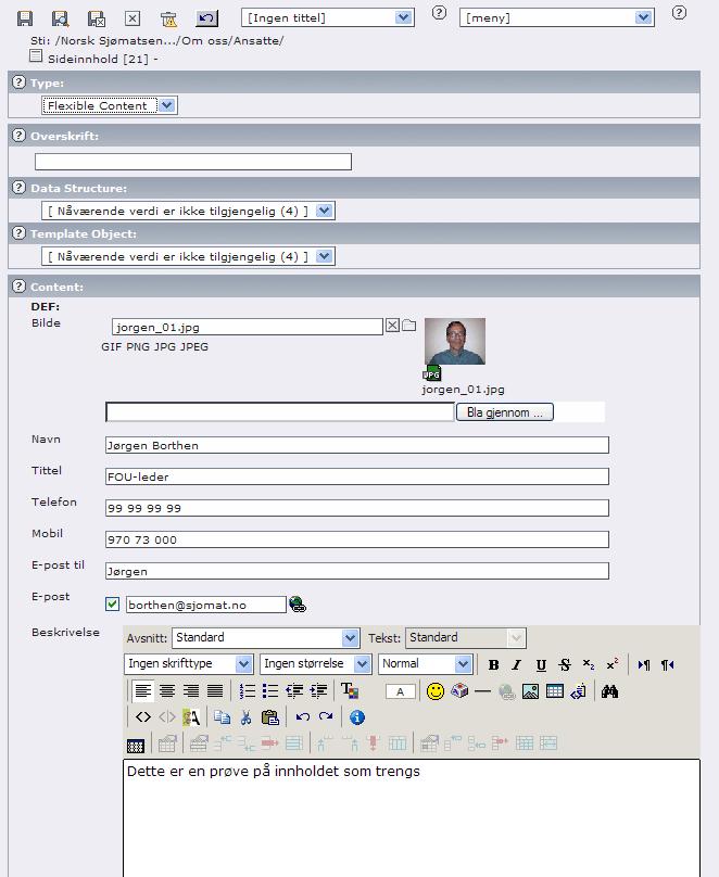 TYPO3 Manual spesielle typer sideinnhold 3 Velg Ansatte [Template], og følgende vil komme opp.