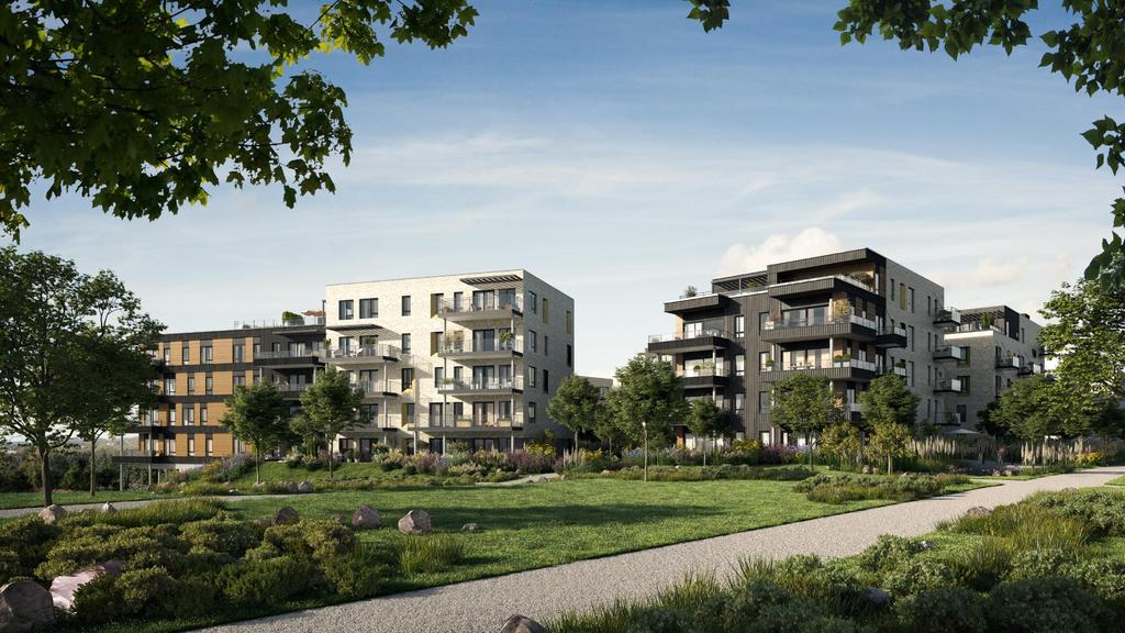 Oksenøya Ca 340 leiligheter Leiligheter fra 30 kvm BRAs til 218 kvm BRAs Første