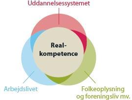 utdanning, lønnet eller ulønnet arbeid organisasjonserfaring,