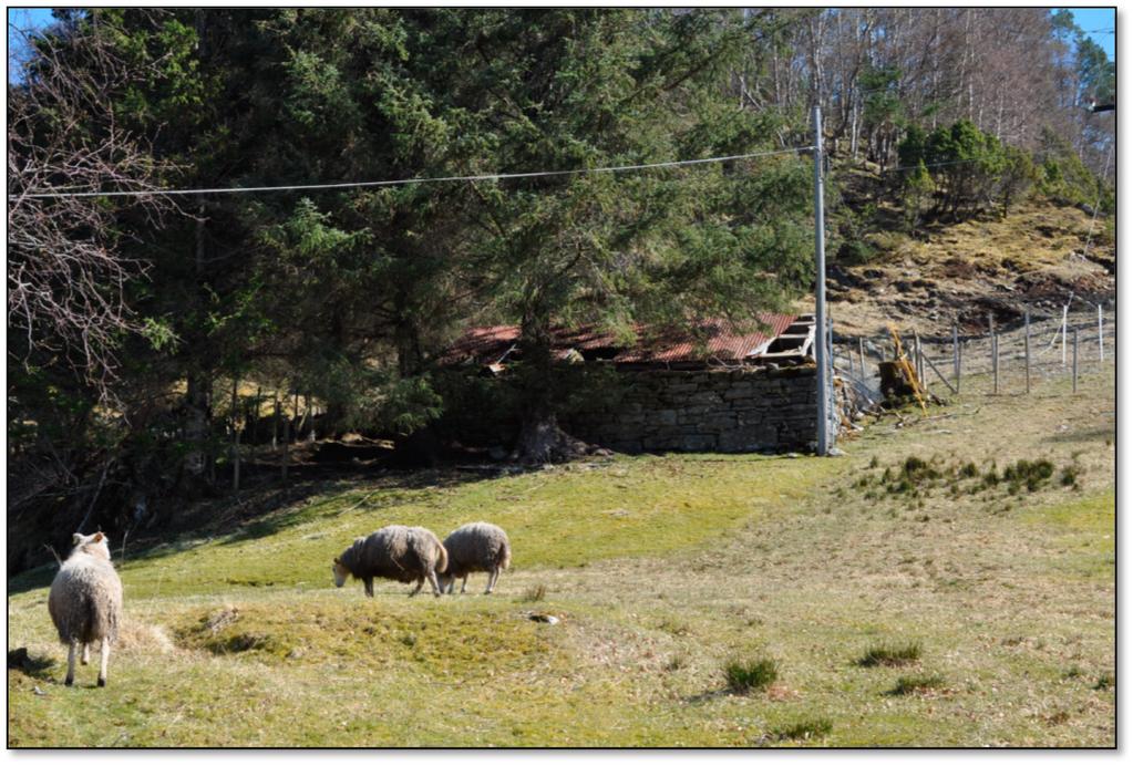 Innhald 1. INNLEIING OG BAKGRUNN... 4 1.1 2. SAKSGANG HØYRING OG GODKJENNING... 4 SPESIELLE MILJØTILTAK I JORDBRUKET (SMIL).... 4 2.1 MÅL MED ORDNINGA.... 4 2.2 VERDIAR OG UTFORDRINGAR I VÅGSØY... 4 2.3 OPPSUMMERING AV VIKTIGE UTFORDRINGAR.