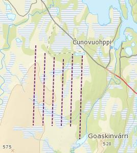 Bestandstaksering Linjetaksering med stående fuglehund taksering av lirype og skogsfugl 140 takseringslinjer, 550 takserte km.