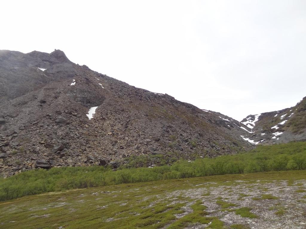 Foto 7: Foto viser område 3. Fjellsiden har jevn helning (25-45 ) og er dekket hovedsakelig av urmasser (stein og blokk) med steilere bergvegger øverst.
