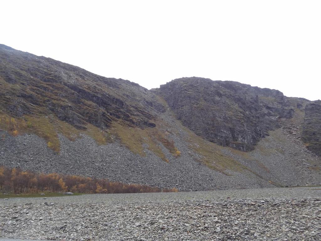 Kløfter med skredvifter i nedenfor Foto 8: Foto viser område 4. Øvre del av fjellsiden består av en steil bergvegger (45-65 ), mens nedre deler er slakere og dekket med urmasser (stein og blokk).
