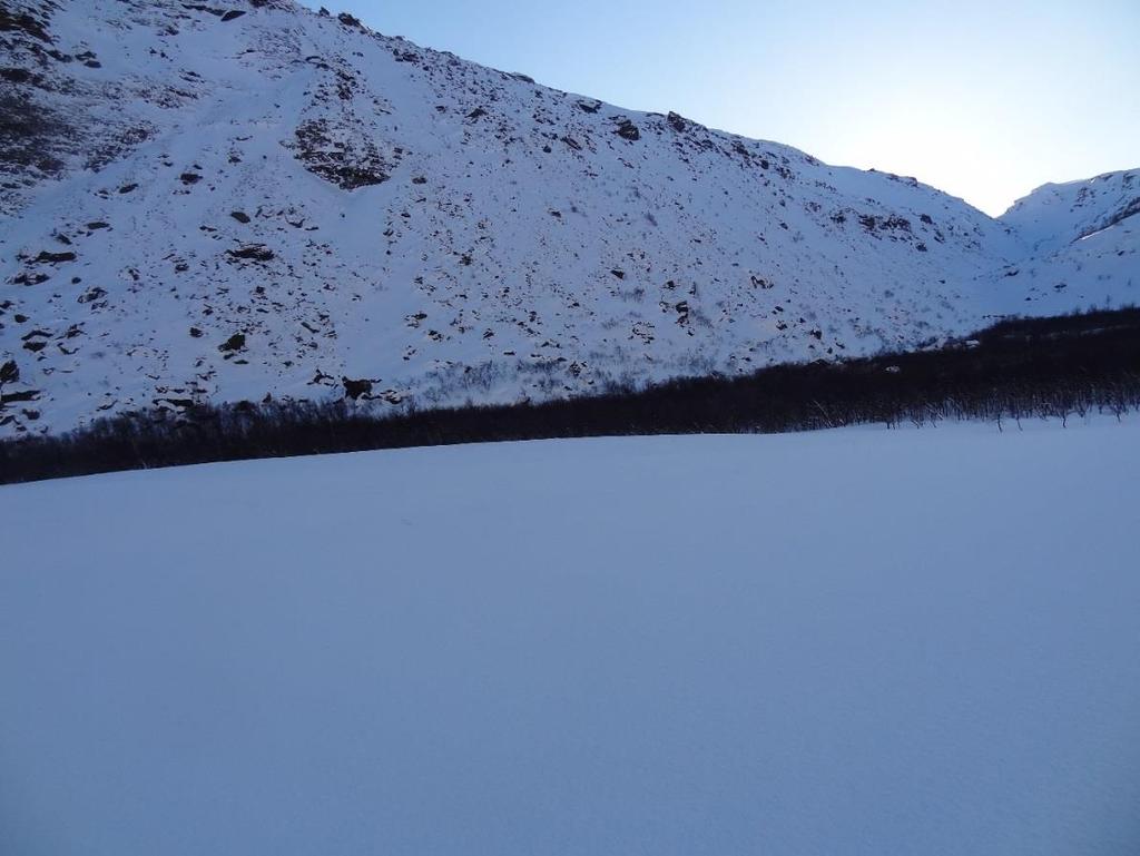 Skavler langs topplatået er tydelig tegn på snøtransport inn i fjellsiden.