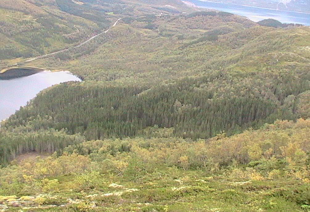 3. Metoder Den 7. september 2006 ble store deler av utmarksbeitene i på Tjongsfjordhalvøya befart.