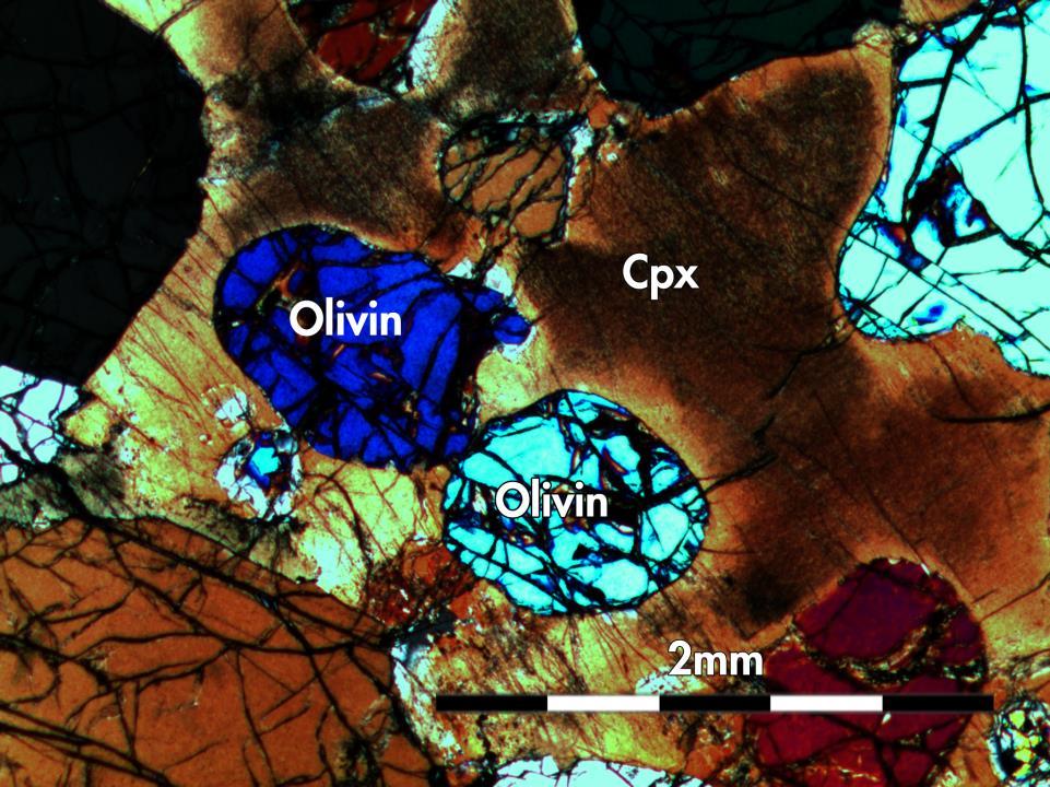 Strukturer og tekstur: Alle tynnslipene fra CS med innslag av pyroksen viser olivin som kumulusmineral og klinopyroksen som interkumulusmineral.