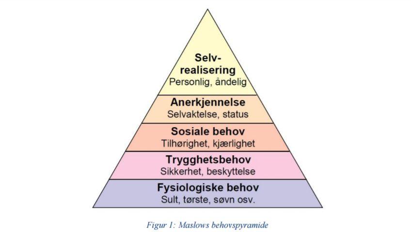 man kunne tilfredsstille behovene for vekstmuligheter (Kaufmann & Kaufmann 2009).