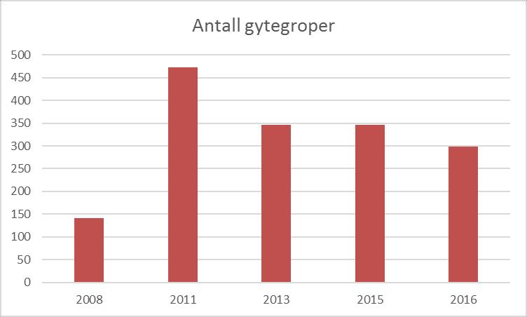 Det ble i år ikke registrert tørrlagte gytegroper. Størst konsentrasjon av groper var det ved Øvre og nedre Holme (figur 1).