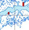 sjøauren brukar ytre del av Sognefjordssytemet (Rosseland, 1965 og