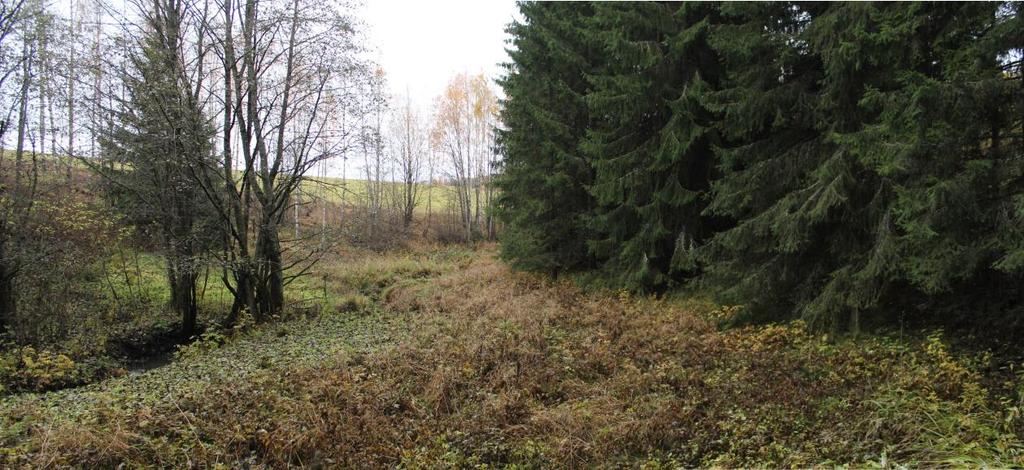 Fotonr. 2: Det renner en liten bekk gjennom den lavtliggende delen av planområdet. Bildet er tatt mot vest. Fotonr. 3: Vestlige del av planområdet som brukes til turområde.