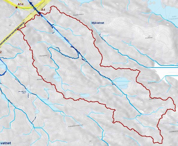 Figur 5.10: Hovedflomveier (blåe linjer) og aktsomhetsområde (rød stjerne, A4) ved kryssing mellom Lona og Bukksteinsvannet. Blå piler viser flomretning og mørkeblå-stiplet linje er eksisterende bekk.
