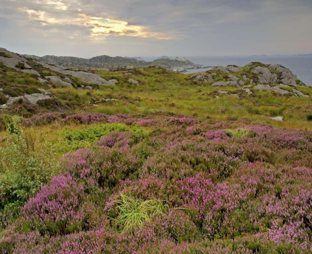 Utvalgte naturtyper kap VI Felles regler for forvaltning av natur utenfor verneområder Konkretisere naturtyper det er spesielt