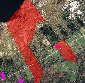 C) Flate klassifisert svært usikkert av Skog og landskap Zoom inn flate med rosa flatefyll i eiendom 156/2. (I den minste teigen i øst, nord for veien - se bilde nedafor.