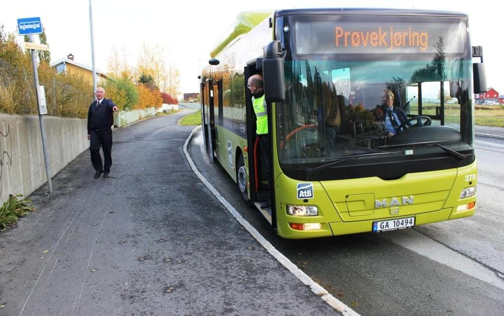 3 Eksempler på holdeplasser Det er ca. 30 holdeplasser på kommunal veg som skal oppgraderes i 2013. Ved flere av disse er både kantsteinstopp eller busslomme mulig løsning.