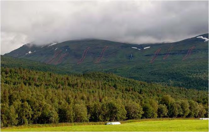 4.2 Skredtyper og geologiske forhold De fleste skredhendelsene som skjedde i Troms klassifiseres som løsmasseskred, klassifisert på grunnlag av skredmateriale (Vedlegg 2), og innenfor denne