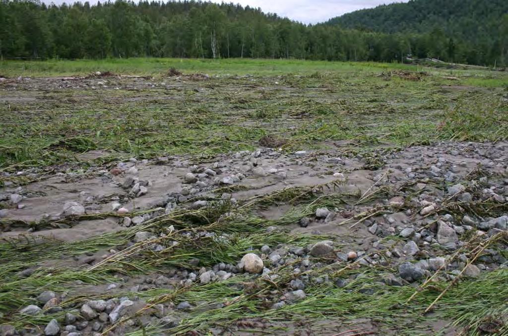 6 Oppsummering Flommen i Troms i juli 2012 førte til lokalt store problemer (figur 28-31), spesielt i