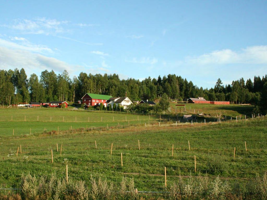 Nystad, 40 mål,