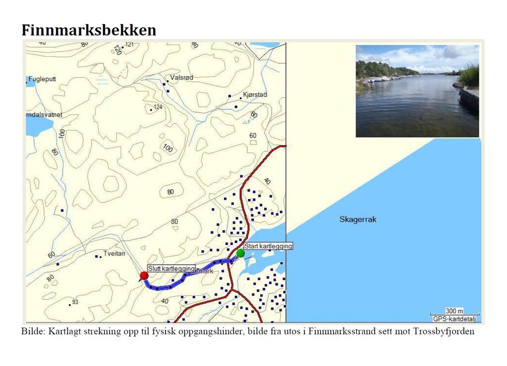 Finmarksbekken OBJEKTID 12658777 WaterBodyID 017-39-R Anadrom areal (m2) UTM sone 32 øst Nord Anadrom lengde (m) 720 Utløp 533852 6534063 Sist undersøkt Høst. 2010 Vandringshinder Øverby skog AS.