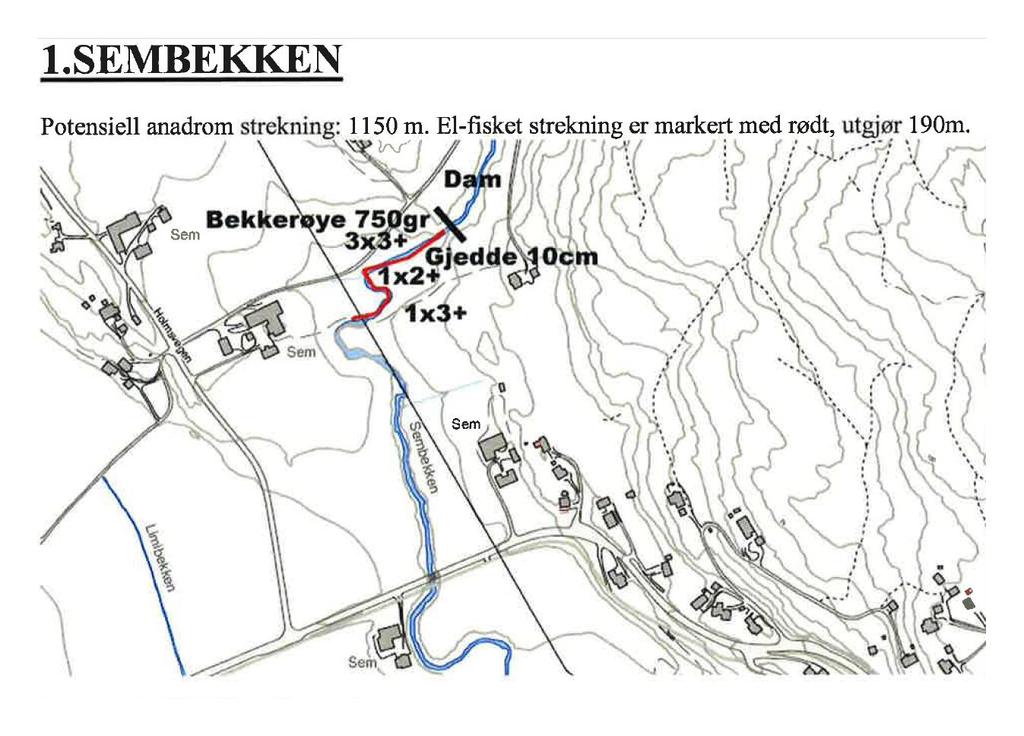 Sembekken OBJEKTID 12819920 WaterBodyID 016-368-R Anadrom areal (m2) Børsesjø UTM sone 32 øst Nord Anadrom lengde (m) 190, potensiell 1150 Utløp 535169 6566352 Sist undersøkt Høst.