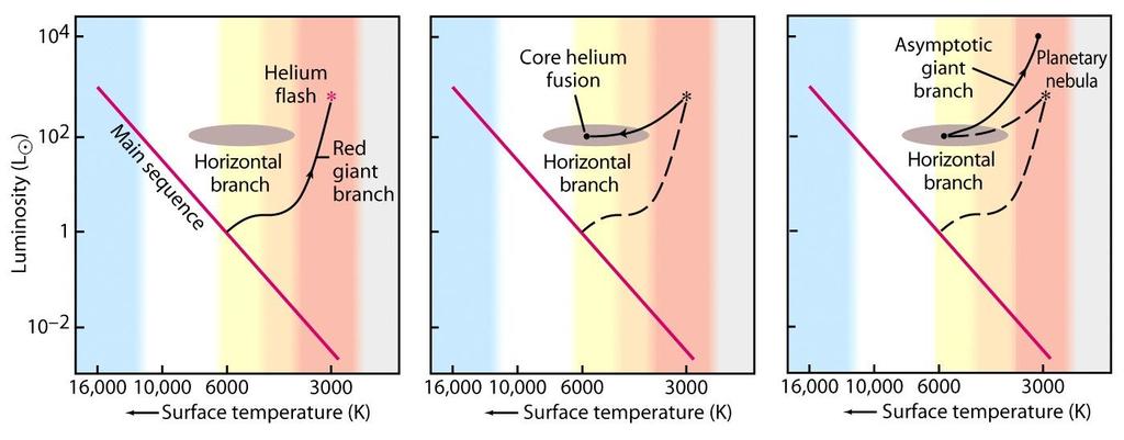 Utvikling av stjerner under 2 solmasser - Skallbrenning av hydrogen i den røde kjempegrenen. - Heliumflash en stor del av heliumet i kjernen omvandles til karbon i løpet av timer.