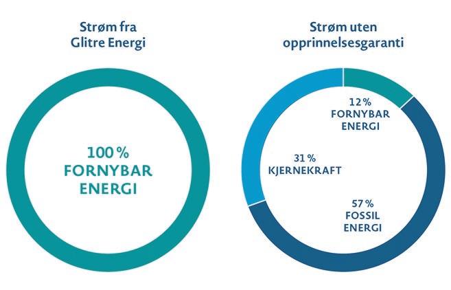 100 % FORNYBAR OG LOKAL STRØM SAMFUNNSRAPPORT Glitre Energi garanterer at strømmen kundene kjøper fra Glitre Energi er produsert på et av våre lokale vannkraftverk.
