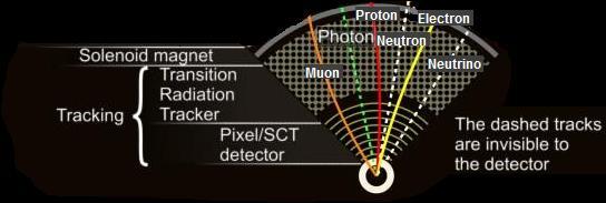 Hvordan virker den? del 1 Sporingsdetektoren proton proton den innerste delen av detektoren kalles sporingsdetektoren ladde partikler vil legge igjen spor (f.eks.