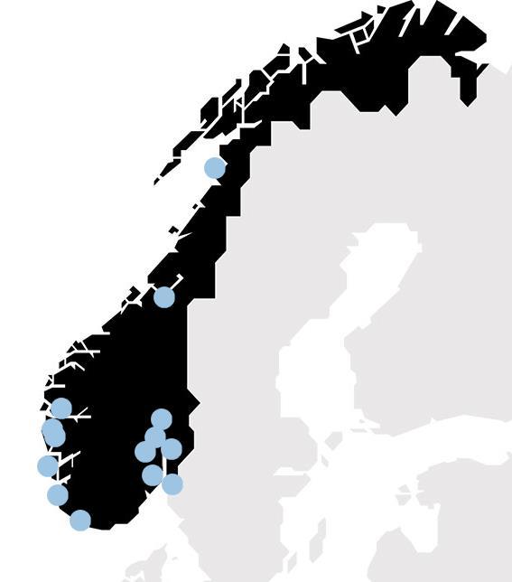 Gode marine klynger fundamentet for vekst!