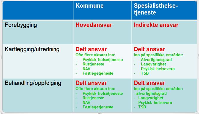 Roller og ansvar alvorlige og