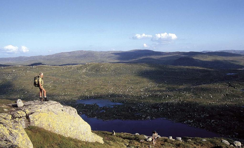 1. Innleiing Utsikt frå Gråmannen. Den sørlege utstikkaren av Langfjella som ligg mellom Setesdal i aust og Ryfylke i vest, er eit unikt fjellområde.