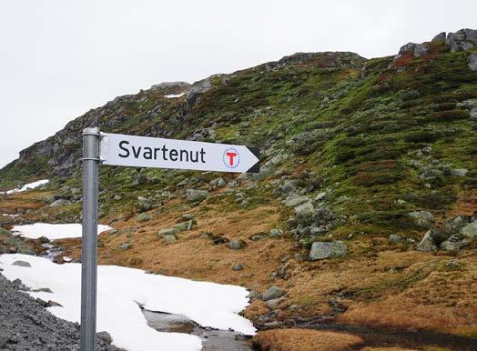 DNT-skilt ved Brokke-Suleskardvegen. Bykle fjellstyre si hytte ved Grjotdokki. råde for villrein, som Steinsbuskardet, Holmevassåno og Vardevatnet-Kvislevassnuten.