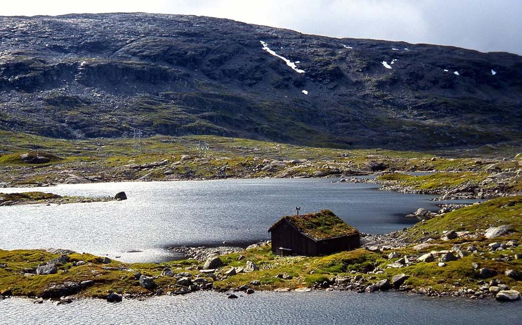Holmavassåno. Holmavassåno biotopverneområde inneheld ei lang rekke automatisk freda kulturminne, og nyare tids kulturminne med betydeleg verneverdi.