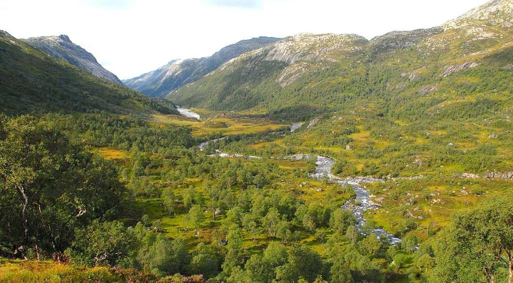 Fidjadalen sett frå Blåfjellenden. 3.6 Frafjordheiane landskapsvernområde Frafjordheiane landskapsvernområde vart oppretta i 2003, og har eit areal på 418 km 2.