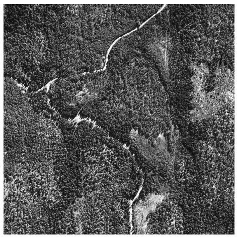 Eksempel: Skogkartlegging Skogkartlegging fra satellitt/fly Fra bildene kan vi avgjøre: - Treslag/alder - Klart til å hugges?