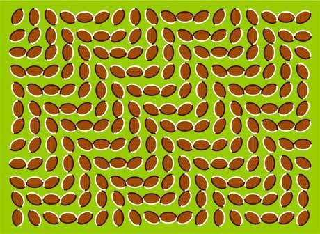 Optiske illusjoner