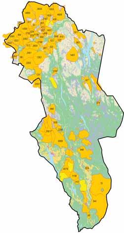 Utmark på rik berggrunn i Vingelen i Tolga og i Vangrøftdalen/ Kjurrudalen i Os har 19-20% i beste beiteklasse. I tillegg er det ein langt høgare del nyttbart beiteareal her.