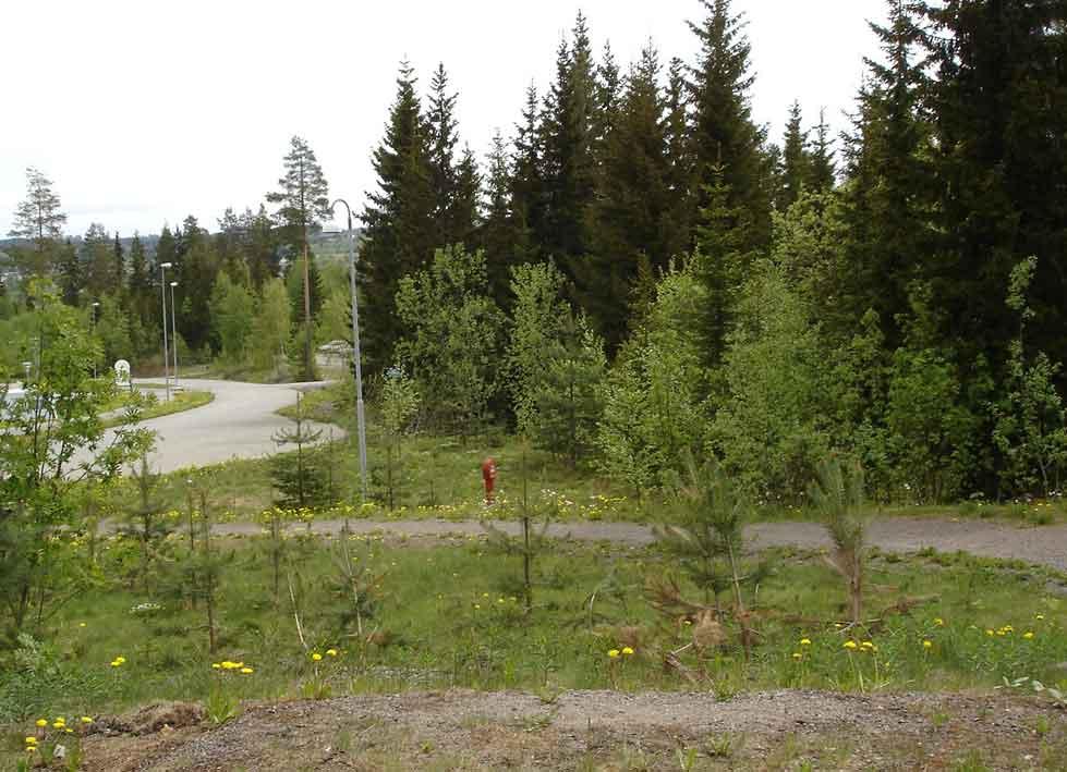 Varmeplan Raufoss vest Mulig plass for en biobrenselfyrt varmesentral i Raufosskogen.