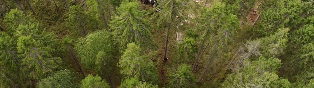 Østfold er et viktig skogfylke, og selv om fylket bare utgjør 1,3 prosent av hele landet, utgjør skogen 2,2 prosent av hele landets skogareal.