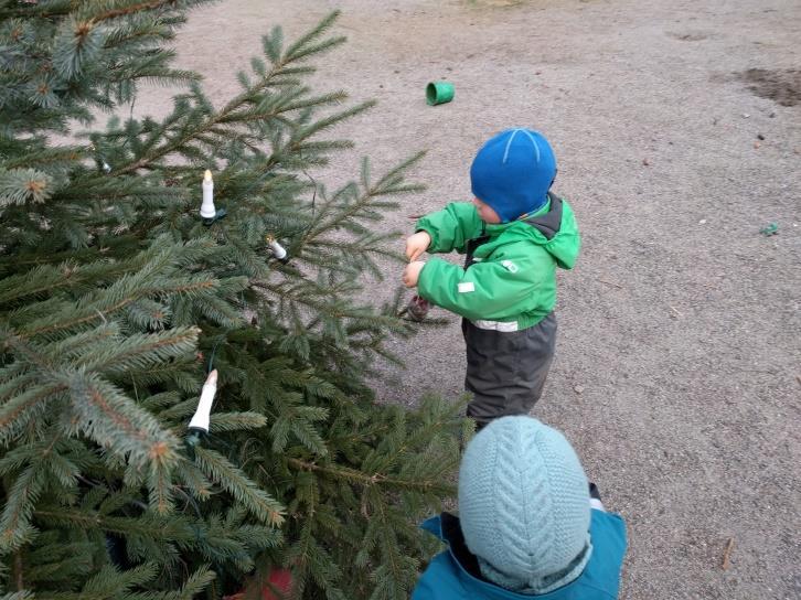 Juletrehogst En av barnehagens faste tradisjoner er at vi går alle sammen på tur for å finne et fint juletre som vi hugger og tar med tilbake til barnehagen.