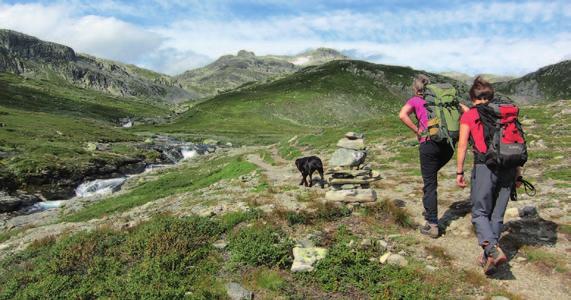 Tirsdag: Etter frokost på Fondsbu går turen inn til Mjølkedalsbreen, en fin tur inn gjennom Mjølkedalen, med høge tinder rundt på alle kanter.